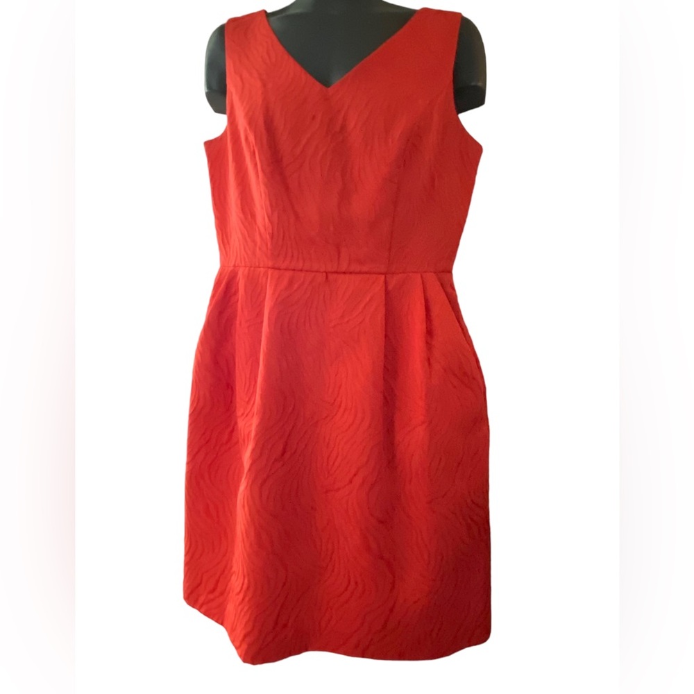 New Ellen Tracy dress with pockets!